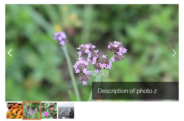 jQuery Light Carousel